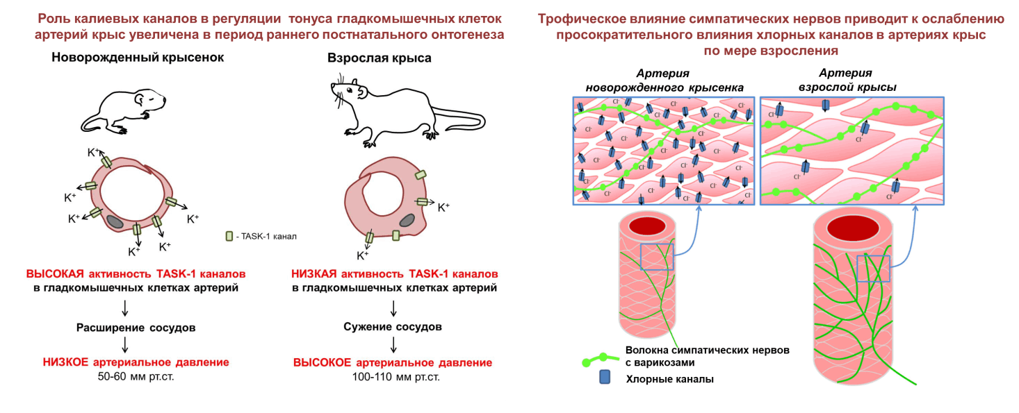 Нарушение кровообращения